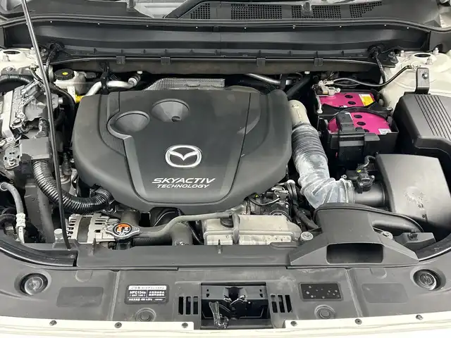 マツダ ＣＸ－５ XD プロアクティブ 三重県 2019(令1)年 5.5万km スノーフレイクホワイトパールマイカ /禁煙車　//純正ナビ　//シートヒーター　//全方位モニター　//３６０ドラレコ　//レーダークルーズコントロール　//ＢＳＭ　//ＨＵＤ　//パワーシート　//クリアランスソナー　//ＬＥＤライト　//パワーバックドア　//ＥＴＣ//ステアリングヒーター