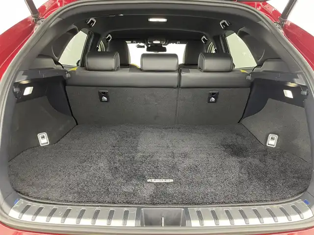 レクサス ＮＸ 300h Fスポーツ 群馬県 2020(令2)年 3万km レッドマイカクリスタルシャイン 三眼フルLEDヘッドランプ（ロー・ハイビーム）/　　　＋アダプティブハイビームシステム[AHS]/　　　＋ヘッドランプクリーナー/純正メーカーナビ　10.3インチワイドディスプレイ/・CD/DVD/Bluray/SD(MSV)/USB/Bluetooth//Miracast/＝＝＝＝＝/三眼ＬＥＤヘッドライト　純正メーカーナビ　パノラミックモニター　黒本革シート　パワーシート　　シートベンチレーション　レクサスセーフティシステムプラス　追従クルコン　パワーバックドア　純正ＡＷ　禁煙車