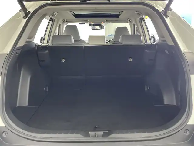 トヨタ ＲＡＶ４ ハイブリッドG 群馬県 2020(令2)年 5.1万km ホワイトパールクリスタルシャイン ＴＲＤエアロ　純正９インチナビ　パノラマルーフ　バックカメラ　レーダークルーズコントロール　レーンキープアシスト　プリクラッシュセーフティ　パワーバックドア　シートヒーター　前後ドラレコ　禁煙車