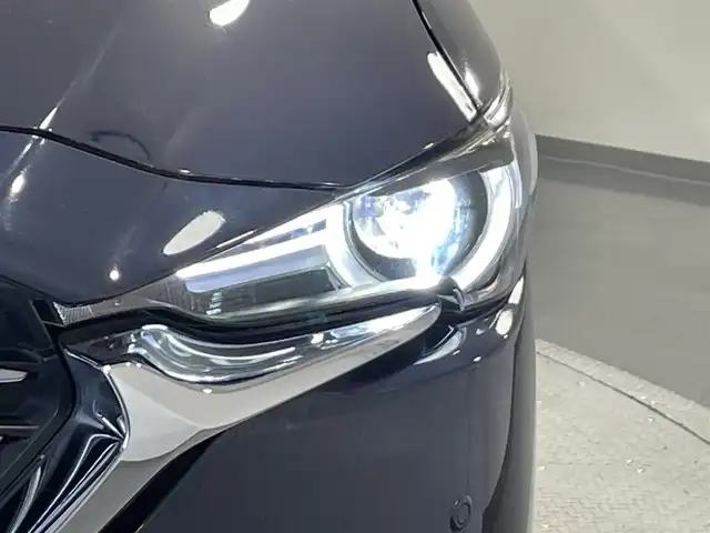 マツダ ＣＸ－８ XD プロアクティブ 愛知県 2018(平30)年 4.9万km ディープクリスタルブルーマイカ 純正マツダコネクトナビ/（CD・DVD・BT・AUX・USB・フルセグTV　）/ETC2.0/前後ドライブレコーダー/３６０度ビューモニター/レーダークルーズコントロール/コーナーセンサー/シートヒーター/ステアリングリモコン/ステアリングヒーター/シートメモリー/電動パワーシート/ブレーキホールド/MTモード付きAT/ブラインドスポットモニター/ヘッドアップディスプレイ/リアセンターエアコン/ドアバイザー/純正フロアマット