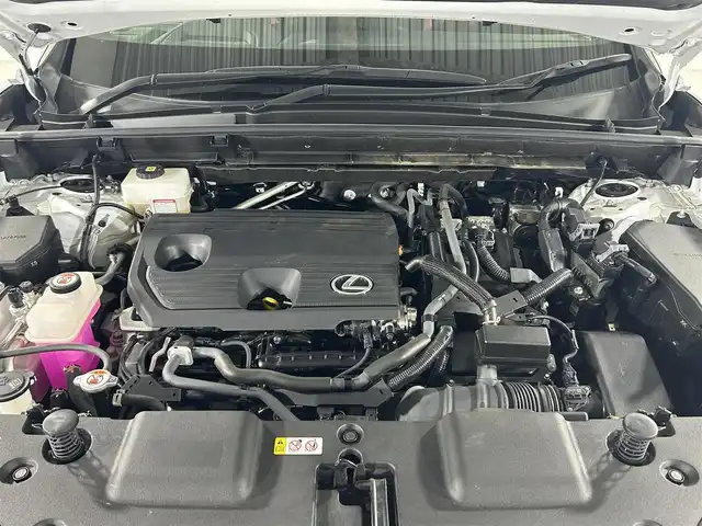 レクサス ＮＸ 350h Fスポーツ 佐賀県 2023(令5)年 2万km ホワイトノーヴァガラスフレーク 純正14インチナビ/フルセグTV/Bluetooth/全方位カメラ/サンルーフ/ETC2.0/前方・後方ドライブレコーダー/レクサスセーフティーシステム/レーダークルーズコントロール/コーナーセンサー/ブラインドスポットモニター/ヘッドアップディスプレイ/置くだけ充電/デジタルインナーミラー/運転席・助手席パワーシート/運転席・助手席シートヒーター/運転席・助手席シートベンチレーション/運転席シートメモリー/電動リアゲート/純正フロアマット/純正20インチアルミホイール