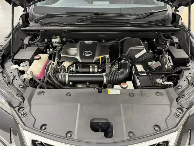 レクサス ＮＸ 200t Fスポーツ 三重県 2015(平27)年 2.5万km スターライトブラックガラスフレーク プレミアムガソリン・ターボ/FF/MTモード付フロア6AT/純正 7インチナビ/（AM/FM/CD/DVD/Blu-ray/SD/SDREC/USB/AUX/TV）/バックカメラ＆サイドカメラ、コーナービュー/ドライブレコーダー 前方/ETC/安全/・【OP】プリクラッシュセーフティ/・【OP】レーダークルコン/・【OP】クリアランスソナー＆バックソナー/・TPMS：タイヤ空気圧監視システム/・トラクションコントロール/など/装備/・【OP】パワーバックドア/・【OP】後席6：4分割可倒式シート（電動リクライニング＆電動格納機能付）/・【OP】3眼フルLEDヘッドランプ/・Fスポーツ用本革スポーツシート（赤革）/・シートヒーター、シートベンチレーション（D/N）/・ステアリングヒーター/・8wayパワーシート（Dメモリー、ランバーサポート付/N）/・左右独立温度調整オートエアコン/・リヤピュリファイヤー（後席送風）/・電子パーキングブレーキ＆ブレーキホールド/・パドルシフト/・プッシュスタート/・スマートキーx2、カードキーx1/・【OP】純正 19inAW/・保/など
