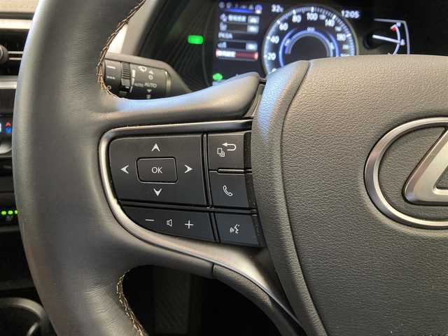 レクサス ＵＸ 250h バージョンL 熊本県 2020(令2)年 2.2万km テレーンカーキマイカM ・スマートキー/・プッシュスタート/・サンルーフ/・プリクラッシュセーフティ/・レーンデパーチャーアラート/・ブラインドスポットモニター/・パーキングサポートアラート/・道路標識アシスト/・先行車発進告知/・オートマチックハイビーム/・クルーズコントロール(追従式)/・茶革シート/・前席パワーシート/・前席シートヒーター ＆エアシート /・ハンドルヒーター /・純正メモリナビ/　【BD・Bluetooth・USB・SD・AUX・MSV】/・フルセグTV/・全方位カメラ/・ETC2.0/・ドライブレコーダー(前後録画)/・パワーバックドア/・LEDヘッドランプ/・LEDフォグランプ/・純正マット