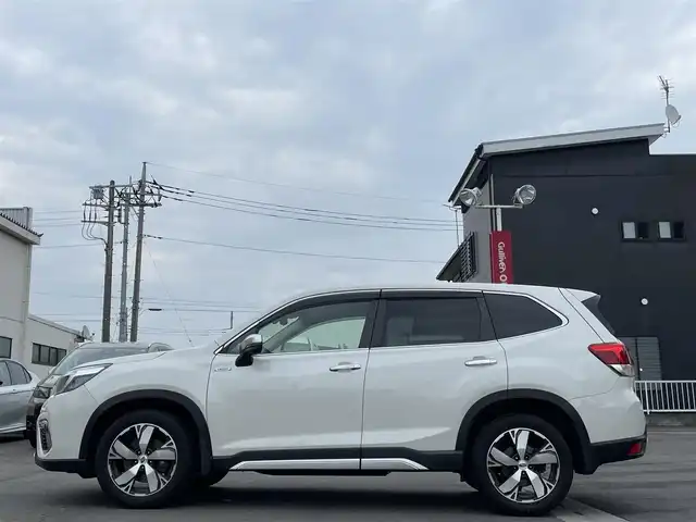 スバル フォレスター ハイブリッド アドバンス 群馬県 2019(令1)年 7.7万km クリスタルホワイトP 純正８インチナビ/・AM/FM/Bluetooth/・フルセグTV/ミュージックサーバー/・CD/DVD/ブルーレイ/フロント、左サイド、バックカメラ/デジタルインナーミラー/純正ドラレコ/シートヒーター全席/ハンドルヒーター/シートメモリー/アイサイト/・追従クルーズコントロール/・車線逸脱/・横滑り防止/・オートライト/・ハイビームアシスト/・リアコーナーセンサー/純正フロアマット