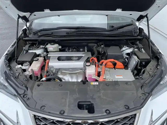 レクサス ＮＸ 300h Fスポーツ 佐賀県 2019(令1)年 2.7万km ホワイトノーヴァガラスフレーク サンルーフ/Lexus Safety System+/・プリクラッシュセーフティ/・レーントレーシングアシスト/・オートマチックハイビーム/・レーダークルーズコントロール/クリアランスソナー/純正メーカーナビ/・パノラミックビューモニター/・フルセグTV/BT/CD/DVD/純正ドライブレコーダー(DRD-H68)/赤黒革シート/・シートヒーター/・ベンチレーション/・パワーシート/シートメモリ/パワーバックドア/LEDヘッドライト/フォグランプ/革巻きステアリング/パドルシフト/ステアリングヒーター/オートワイパー/ETC2.0/電動パーキングスイッチ/トノカバー/エアバックW/サイド/カーテン