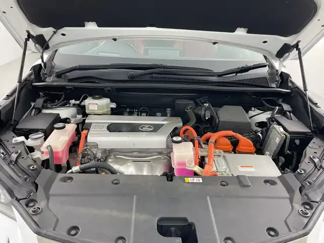 レクサス ＮＸ 300h Fスポーツ 愛知県 2019(令1)年 2.7万km ホワイトノーヴァガラスフレーク 禁煙車/純正12.3インチナビ/（フルセグTV/Bluetooth/CD/DVD/USB)/サンルーフ/全方位カメラ/シーケンシャルウインカー/Lexus Safety System+/・プリクラッシュセーフティ/・レーントレーシングアシスト/・オートマチックハイビーム/・レーダークルーズコントロール/クリアランスソナー/ヘッドアップディスプレイ/純正ドライブレコーダー(DRD-H68)/ETC2.0/赤黒レザーシート/シートヒーター/シートベンチレーション/パワーシート/メモリシート/革巻きステアリング/ステアリングヒーター/パワーバックドア/パドルシフト/純正18インチアルミホイール/スマートキー/スペアキー1本/プッシュスタート/LEDヘッドライト/フロントフォグランプ/オートワイパー/純正フロアマット/電動パーキングスイッチ/トノカバー/エアバックW/サイド/カーテン