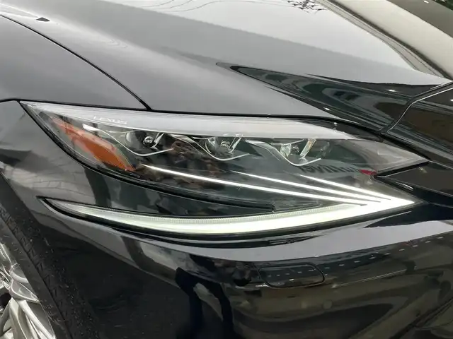レクサス ＬＳ 500 Iパッケージ 新潟県 2020(令2)年 4.7万km ブラック ワンオーナー/４ｗｄ/メモリナビ/フルセグテレビ/アラウンドビューモニター/バックカメラ/クルーズコントロール/ドアバイザー/プッシュスタート/ETC２．０/運転席、助手席シートヒーター、クーラー/後席シートヒーター/ブレーキホールド/ブラインドスポットモニター