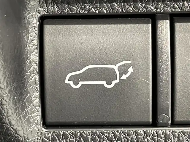 トヨタ ＲＡＶ４ ハイブリッドG 愛知県 2019(令1)年 3.5万km シルバーメタリック 純正９インチナビ/衝突軽減ブレーキ/レーントレーシングアシスト/ブラインドスポットモニター/クリアランスソナー/先行車発進告知/レーダークルーズコントロール/パワーバックドア/シートヒーター/シートメモリー/ビルトインＥＴＣ２．０/バックカメラ/ハンドルヒーター/ドライブレコーダー/デジタルインナーミラー/純正フロアマット/オートハイビーム