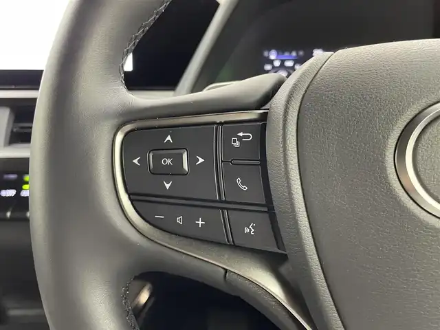 レクサス ＵＸ 250h グレイスフル エクスプローラー 埼玉県 2023(令5)年 0.7万km ソニッククォーツ 純正１２．３インチナビ　パノラミックビューモニター　ＢＳＭ　茶レザー　三眼　ビルトインＥＴＣ２．０　メモリシート　シートヒーター　ベンチレーション　ステアリングヒーター　レーダークルーズコントロール