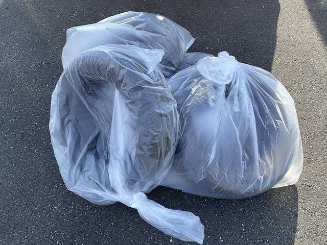 日産 セレナ ハイウェイスター V 岩手県 2025(令7)年 0.1万km ベージュ プロパイロット/クリアビューパッケージ/・フロントドアガラス撥水加工/・リアフォグランプ/・ヒーテッドドアミラー/・フロントワイパーデアイサー/純正SDナビ/フルセグＴＶ/バックカメラ/アラウンドビューモニター/両側パワースライドドア/フリップダウンモニター/デジタルインナーミラー/衝突被害軽減ブレーキ/レーンキープアシスト/横滑り防止装置/コーナーセンサー/アイドリングストップ/シートヒーター/オートライト/オートハイビーム/LEDヘッドライト/フォグランプ/スマートキー/プッシュスタート/電動格納ミラー/純正16インチAW/積込夏タイヤ(ＡＷ無)