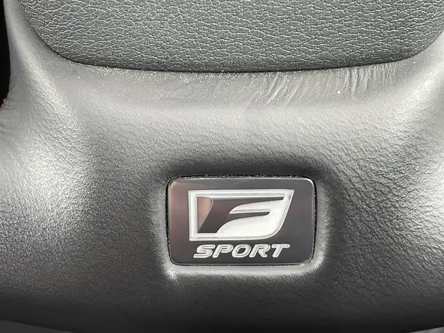 レクサス ＵＸ 250h Fスポーツ 青森県 2019(令1)年 3.3万km ホワイトノーヴァガラスフレーク 4WD/純正メモリナビ/・AM/FM/Bluetooth/CD/DVD/・フルセグテレビ/バックカメラ/ETC/ドライブレコーダー/クルーズコントロール/衝突軽減ブレーキ/レーンキープアシスト/横滑り防止装置/盗難防止装置/電動パーキングブレーキ/前後コーナーセンサー/メモリシート（D席）/パワーシート（D席+N席）/シートヒーター（D席+N席）/LEDヘッドライト/ウインカーミラー/ステアリングヒーター/オートライト/オートエアコン/プッシュスタートボタン/スマートキー×2/ステアリングリモコン/パドルシフト/革巻きステアリング/純正18インチアルミホイール/12V充電器/USBジャック/純正フロアマット