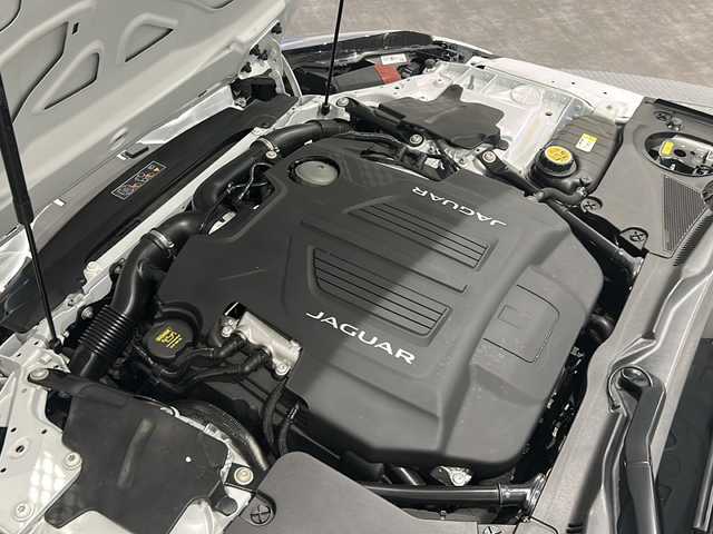 ジャガー Ｆ-ＴＹＰＥ R AWDクーペ 新潟県 2019(平31)年 1万km ユーロンホワイト オプション/パワーテールゲート/スエードクロスヘッダー&ヘッドライニングパック/-スエードクロスヘッドライニング/-スエードクロスサンバイザー/ヒーテッドステアリングホイール/デュアルゾーンクライメートコントロール/純正アルミホイール20インチ(スタイル5039)/エクステリアブラックパック