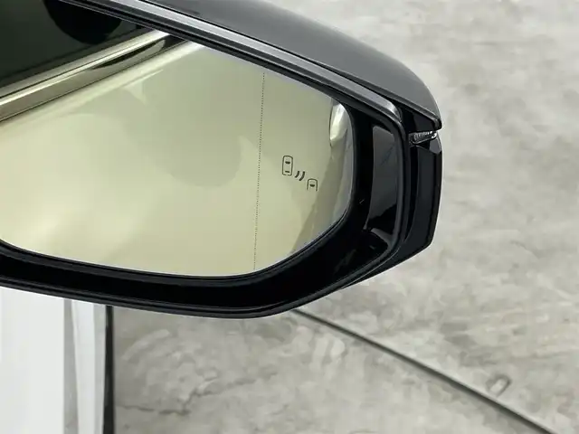 レクサス ＵＸ 250h エレガントブラック 群馬県 2022(令4)年 4万km ソニッククォーツ 禁煙車　純正ナビ　バックカメラ　サイドカメラ　フロントカメラ　ムーンルーフ　シートヒーター　エアシート　追加クルーズコントロール　レーンキープアシスト　ドライブレコーダー　ETC　パワーバックドア