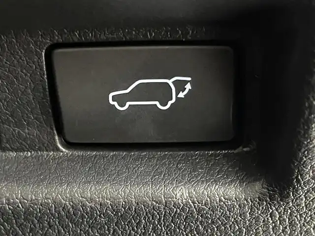 レクサス ＵＸ 250h エレガントブラック 群馬県 2022(令4)年 4万km ソニッククォーツ 禁煙車　純正ナビ　バックカメラ　サイドカメラ　フロントカメラ　ムーンルーフ　シートヒーター　エアシート　追加クルーズコントロール　レーンキープアシスト　ドライブレコーダー　ETC　パワーバックドア