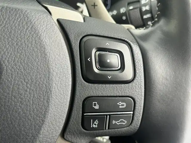 レクサス ＮＸ 300 バージョンL 愛知県 2017(平29)年 4.4万km ソニッククォーツ サンルーフ/レザーシート/後席電動リクライニングシート/純正10型メモリナビ/（CD/DVD/SD/フルセグTV/SD)/バックカメラ/前席シートベンチレーション/全席シートヒーター/全席パワーシート/ステアリングヒーター/ETC/ドライブレコーダー/レクサスセーフティシステム/・レーンキープアシスト/・プリクラッシュセーフティ/・クリアランスソナー/・パーキングサポートブレーキ/・ブラインドスポットモニター/・レーダークルーズコントロール/純正LEDヘッドライト/純正フロアマット/純正18インチAW