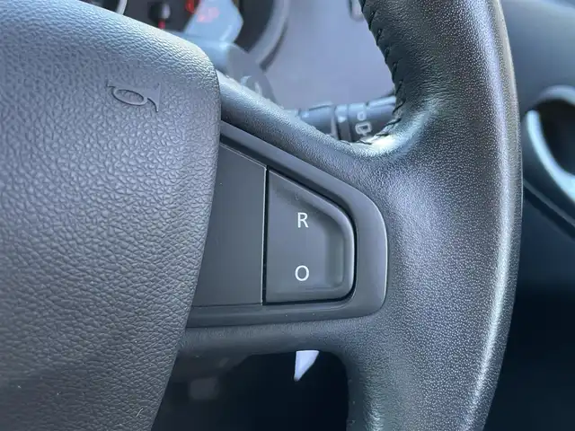 ルノー カングー クルール 埼玉県 2020(令2)年 3.2万km 黄 /ワンオーナー//社外メモリナビ//フルセグTV//バックカメラ//CD/DVD/Bluetooth//両側スライドドア//クルーズコントロール//ETC//キーレス//前後ドライブレコーダー//革巻きステアリング//W.サイドエアバッグ//ABS//横滑り防止装置//前後フォグランプ//プライバシーガラス//新車時保証書//取扱説明書//ナビ取説//スペアキー