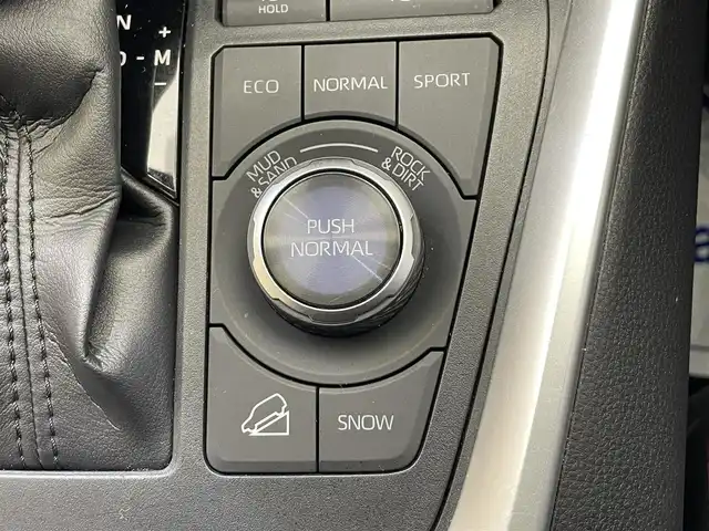 トヨタ ＲＡＶ４ アドベンチャー オフロードPKG 岩手県 2021(令3)年 4.1万km スーパーホワイトⅡ ４WD/パノラミックビューモニター/ルーフレール/専用サスペンション(１０ｍｍアップ)/専用合成皮革シート/ハンズフリーパワーバックドア/マルチテレインセレクト/ダウンヒルアシストコントロール/ヒルスタートアシストコントロール/デジタルインナーミラー/置くだけ充電/トヨタセーフティセンス/プリクラッシュセーフティ/レーダークルーズコントロール/レーントレーシングアシスト/ロードサインアシスト/オートマチックハイビーム/クリアランスソナー/BSM・RCTA/ブレーキホールド/純正ディスプレイオーディオ/ナビキット/フルセグTV/ETC2.0/ドライブレコーダー/運転席パワーシート/LEDヘッドランプ/純正18インチアルミホイール