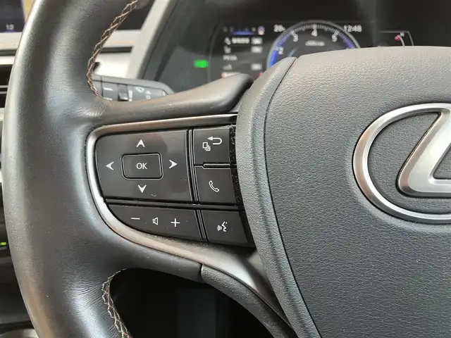 レクサス ＵＸ 250h バージョンL 埼玉県 2020(令2)年 7.5万km テレーンカーキマイカM ワンオーナー/4WD/サンルーフ/茶革シート/　・パワーシート（運転席メモリー機能付き）/　・シートヒーター/　・シートエアコン/レクサスセーフティーシステム＋/　・PCS（プリクラッシュセーフティ）/　・LTA（レーントレーシングアシスト）/　・AHS（アダプティブハイビームアシスト）/　・AHB（オートマチックハイビーム）/　・RSA（ロードサインアシスト）/　・レーダークルーズコントロール/　・先行車発進告知機能/純正メーカーナビ/　・フルセグTV/　・CD/DVD再生/　・Bluetooth接続/　・AUX/USB端子/　・SDサウンドライブラリー/　・連動ビルトインETC2.0/パノラミックビューモニター/前後ドライブレコーダー/ブラインドスポットモニター/クリアランスソナー/パワーバックドア/ステアリングヒーター/3眼LEDヘッドライト/LEDフォグ/純正18インチAW/ナノイー内蔵オートエアコン/スマートキー×2/カードキー×1/プッシュスタートボタン/革巻きステアリング/ドアバイザー/保証書/取扱説明書/ナビ取扱説明書/レクサス整備記録簿（R3.R4.R5.R6）