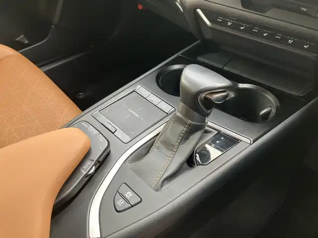 レクサス ＵＸ 250h バージョンL 埼玉県 2020(令2)年 7.5万km テレーンカーキマイカM ワンオーナー/4WD/サンルーフ/茶革シート/　・パワーシート（運転席メモリー機能付き）/　・シートヒーター/　・シートエアコン/レクサスセーフティーシステム＋/　・PCS（プリクラッシュセーフティ）/　・LTA（レーントレーシングアシスト）/　・AHS（アダプティブハイビームアシスト）/　・AHB（オートマチックハイビーム）/　・RSA（ロードサインアシスト）/　・レーダークルーズコントロール/　・先行車発進告知機能/純正メーカーナビ/　・フルセグTV/　・CD/DVD再生/　・Bluetooth接続/　・AUX/USB端子/　・SDサウンドライブラリー/　・連動ビルトインETC2.0/パノラミックビューモニター/前後ドライブレコーダー/ブラインドスポットモニター/クリアランスソナー/パワーバックドア/ステアリングヒーター/3眼LEDヘッドライト/LEDフォグ/純正18インチAW/ナノイー内蔵オートエアコン/スマートキー×2/カードキー×1/プッシュスタートボタン/革巻きステアリング/ドアバイザー/保証書/取扱説明書/ナビ取扱説明書/レクサス整備記録簿（R3.R4.R5.R6）