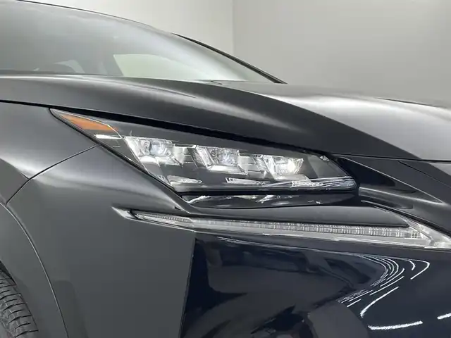 レクサス ＮＸ 300h アーバンスタイル 埼玉県 2017(平29)年 4.4万km ブラック 純正ナビ　黒革　3眼　シートヒーター　ETC2.0　ドライブレコーダー　レーダークルーズコントロール　レーンキープアシスト　コーナーセンサー　パワーシート　LEDヘッドライト　オートハイビーム
