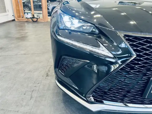 レクサス ＮＸ 300 Fスポーツ 大阪府 2020(令2)年 4.3万km グラファイトブラックガラスフレーク ワンオーナー/サンルーフ/純正ナビ/TV/360度カメラ/applecarplay/ACC/純正18インチAW/LEDヘッドライト/電動リアゲート/ブラインドスポット/黒革/パワーシート/Dシートメモリ/エアシートヒーター/ステアリングヒーター