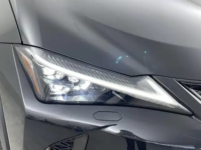 レクサス ＵＸ 200 Fスポーツ 埼玉県 2020(令2)年 3.2万km グラファイトブラックガラスフレーク 禁煙車　サンルーフ　赤レザーシート　3眼ヘッドライト　全方位カメラ　BSM　シートヒーター　ETC2.0　ドライブレコーダー　コーナーセンサー　レーダークルーズコントロール　衝突被害軽減