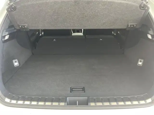 レクサス ＮＸ 300 Fスポーツ 埼玉県 2018(平30)年 5.2万km ホワイトノーヴァガラスフレーク Fスポーツ/純正メモリーナビ/フルセグTV/バックカメラ/LEDライト/プリクラッシュセーフティ/レーンディパーチャーアラート/オートマチックハイビームアシスト/アイドリングストップ/レーダークルーズ/大型ムーンルーフ/ETC/レザーシート/シートヒーター/パワーシート/ステアリングヒーター/パワーバックドア/スマートキー/プッシュスタート