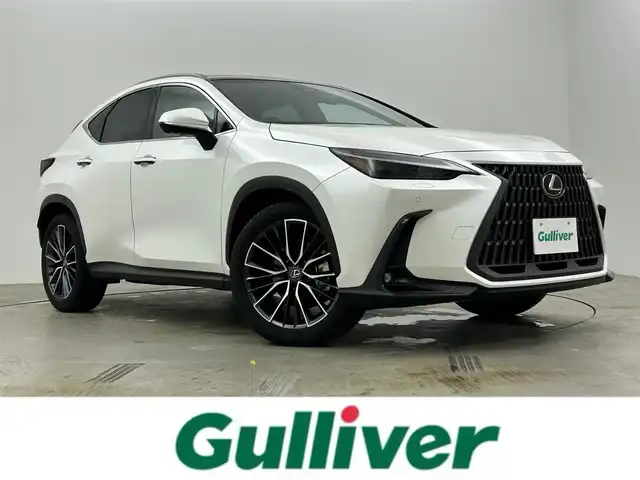 レクサス ＮＸ 250 バージョンL 岡山県 2023(令5)年 0.8万km ソニッククォーツ 純正１４インチナビ　サンルーフ　衝突軽減ブレーキ　アラウンドビューモニター　レーダークルーズコントロール　ビルトインＥＴＣ２．０　三眼ＬＥＤヘッドライト　１００Ｖ電源　シートヒーター　エアシート