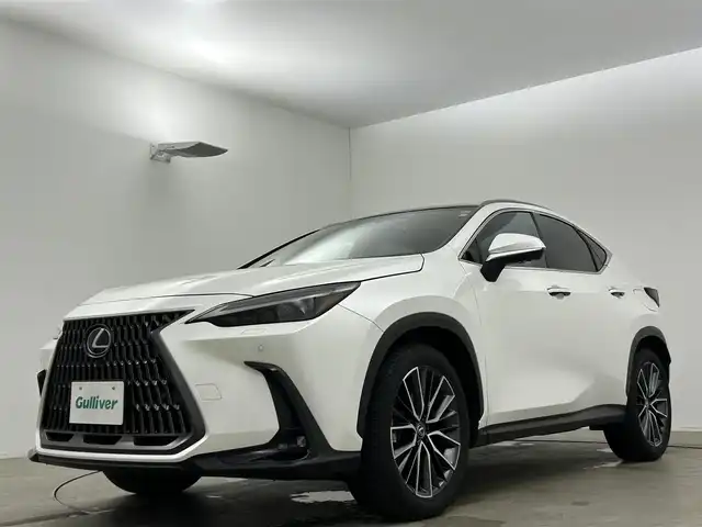 レクサス ＮＸ 250 バージョンL 岡山県 2023(令5)年 0.8万km ソニッククォーツ 純正１４インチナビ　サンルーフ　衝突軽減ブレーキ　アラウンドビューモニター　レーダークルーズコントロール　ビルトインＥＴＣ２．０　三眼ＬＥＤヘッドライト　１００Ｖ電源　シートヒーター　エアシート