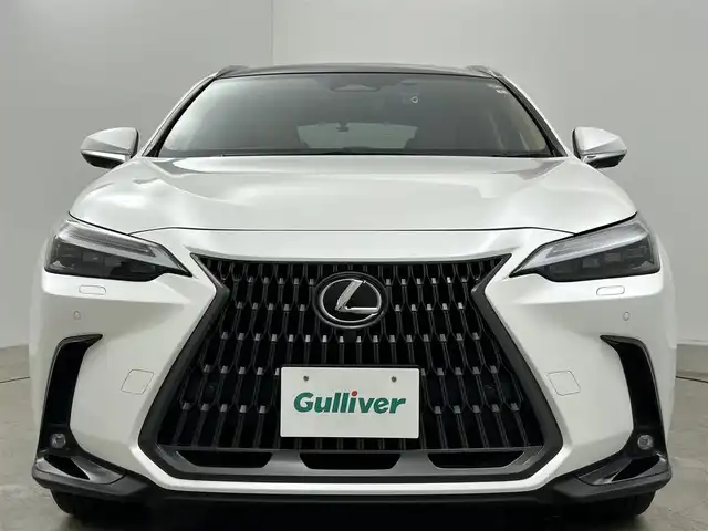 レクサス ＮＸ 250 バージョンL 岡山県 2023(令5)年 0.8万km ソニッククォーツ 純正１４インチナビ　サンルーフ　衝突軽減ブレーキ　アラウンドビューモニター　レーダークルーズコントロール　ビルトインＥＴＣ２．０　三眼ＬＥＤヘッドライト　１００Ｖ電源　シートヒーター　エアシート