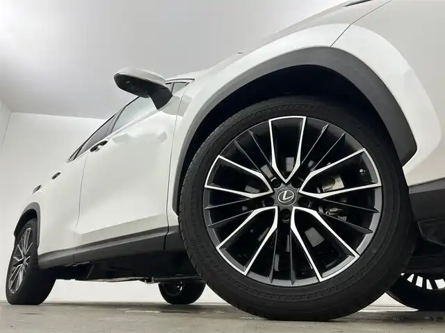 レクサス ＮＸ 250 バージョンL 岡山県 2023(令5)年 0.8万km ソニッククォーツ 純正１４インチナビ　サンルーフ　衝突軽減ブレーキ　アラウンドビューモニター　レーダークルーズコントロール　ビルトインＥＴＣ２．０　三眼ＬＥＤヘッドライト　１００Ｖ電源　シートヒーター　エアシート