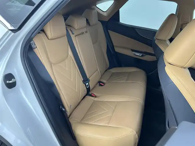 レクサス ＮＸ 250 バージョンL 岡山県 2023(令5)年 0.8万km ソニッククォーツ 純正１４インチナビ　サンルーフ　衝突軽減ブレーキ　アラウンドビューモニター　レーダークルーズコントロール　ビルトインＥＴＣ２．０　三眼ＬＥＤヘッドライト　１００Ｖ電源　シートヒーター　エアシート