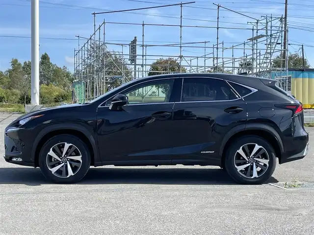 レクサス ＮＸ 300h Iパッケージ 道央・札幌 2020(令2)年 5万km グラファイトブラックガラスフレーク ４WD/純正メモリーナビ/CD/DVD/BT/フルセグ/プリクラッシュセーフティ/横滑り防止装置/レーダークルーズコントロール/レーンキープアシスト/クリアランスソナー/ブラインドスポットモニター/パーキングサポートブレーキ/ロードサインアシスト/バック/サイドカメラ/ビルトインETC2.0/ドライブレコーダー/EVMODE/DRIVEMODE切替/パワーバックドア/前席パワーシート/D席メモリーシート/前席シートヒーター/革巻きステアリング/ステアリングリモコン/パドルシフト/ハンドルヒーター/電動パーキング/ブレーキホールド/MTモード付AT/自動防眩ミラー/HUD/nanoe/プッシュスタート/スマートキー/カードキー/リモートスタート/３眼LEDヘッドライト/オートライト/オートハイビーム/フォグランプ/電動格納ミラー/ヒーテッドドアミラー/ウィンカーミラー/フロアマット/スペアキー