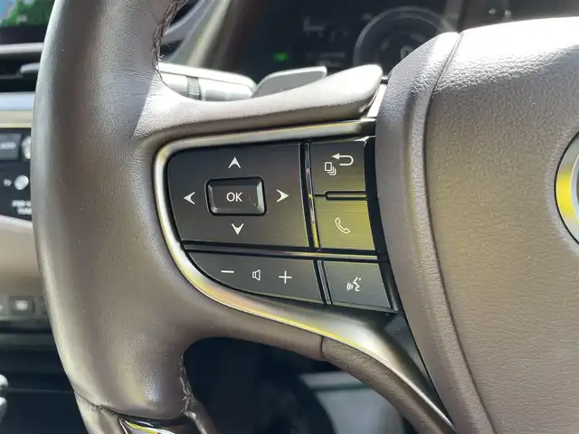 レクサス ＥＳ 300h 石川県 2020(令2)年 4.9万km グラファイトブラックガラスフレーク メーカー純正ナビ/フルセグTV/パノラマモニター/LEDヘッドライト/サンルーフ/革シート/シートヒーター&クーラー/パワートランク/純正アルミホイール/ETC2.0/ドライブレコーダー/ブラインドスポットモニター/レクサスセーフティ/レーダークルーズ/保証書