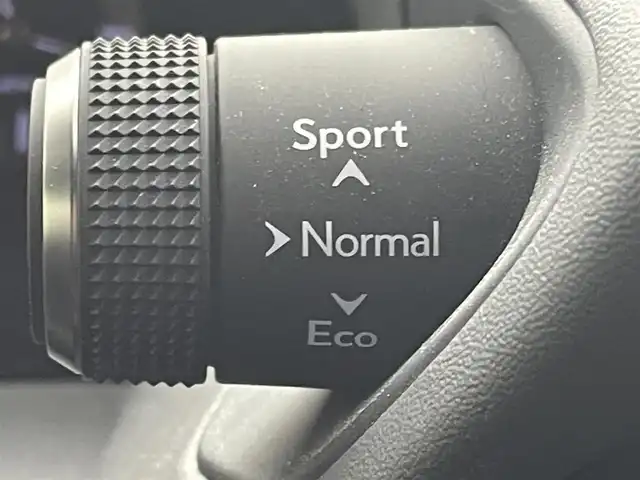 レクサス ＵＸ 250h Fスポーツ 群馬県 2019(平31)年 5.3万km ホワイトノーヴァガラスフレーク 禁煙車　純正ナビ　Bluetooth　フルセグ　バックカメラ　シートヒーター　衝突軽減システム　レクサスセーフティ　パワーバックドア　パワーシート　ドライブレコーダー　ETC　オートマチックハイビーム