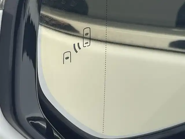 レクサス ＵＸ 250h Fスポーツ 群馬県 2019(平31)年 5.3万km ホワイトノーヴァガラスフレーク 禁煙車　純正ナビ　Bluetooth　フルセグ　バックカメラ　シートヒーター　衝突軽減システム　レクサスセーフティ　パワーバックドア　パワーシート　ドライブレコーダー　ETC　オートマチックハイビーム