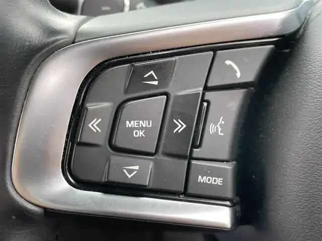 ジャガー ＸＥ XE S 愛知県 2016(平28)年 3.7万km 赤 メーカーナビ/サンルーフ/MERIDIANプレミアムサウンド/レッドキャリパー/パワーシート/ハーフレザーシート/バックカメラ/純正２０インチアルミホイール/カーボンサイドミラー/ETC/コーナーセンサー/ダイヤル式シフト
