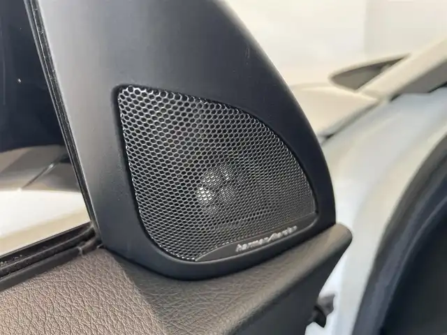 ＢＭＷ Ｍ２ 愛知県 2016(平28)年 4.9万km アルピンホワイトⅢ サンルーフ　/ハーマンカードンサウンド　/レザーシート　/シートヒーター　/純正ナビ　/Ｂｌｕｅｔｏｏｔｈ　/バックカメラ　/ＣＤ／ＤＶＤ　/インテリジェントセーフティー　/クルーズコントロール　/ＬＫＡ　/ＥＴＣ/プッシュスタート/ウィンカーミラー/アイドリングストップ/HID