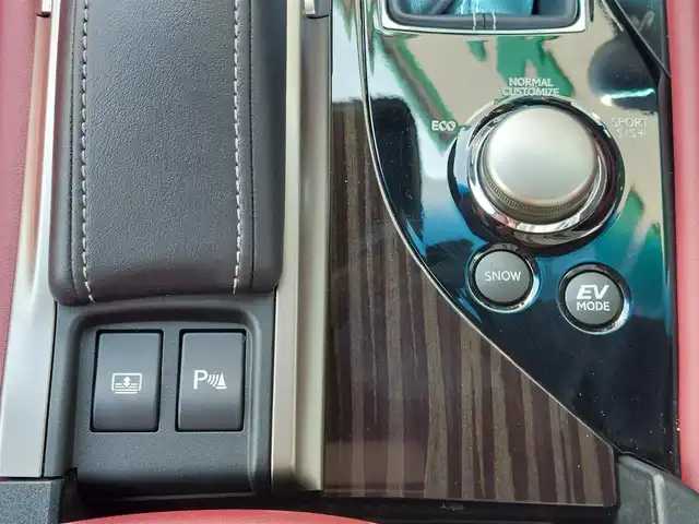 レクサス ＧＳ 300h Fスポーツ 東京都 2020(令2)年 3.8万km グラファイトブラックガラスフレーク レクサスセーフティシステム/・プリクラッシュセーフティ/・レーンキーピングアシスト/・レーンディパーチャーアラート/・アダプティブハイビームシステム/・オートマチックハイビーム /・レーダークルーズコントロール/・クリアランスソナー/・ロードサインアシスト/・ブラインドスポットモニター/プッシュスタート/パドルシフト/純正ナビ/フルセグTV/バックカメラ/ETC2.0/レザーシート/パワーシート/運転席シートメモリー機能/シートヒーター/ベンチレーション/ステアリングヒーター/リア電動サンシェード/後席ロールサンシェード/三眼LEDヘッドライト/ドアバイザー/19インチ純正アルミホイール