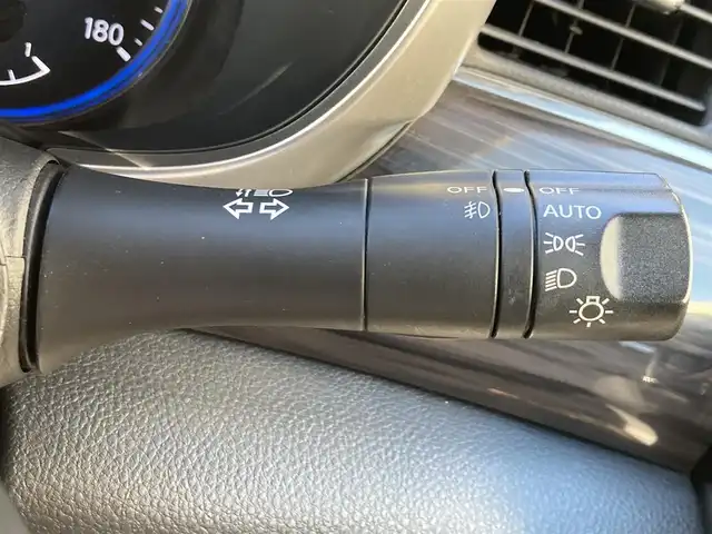 日産 エルグランド 250ハイウェイスターS 静岡県 2017(平29)年 11.6万km メタルグレー (株)IDOMが運営する【じしゃロン焼津店】の自社ローン専用車両になります。こちらは現金またはオートローンご利用時の価格です。自社ローンご希望の方は別途その旨お申付け下さい　/純正ＨＤＤナビ/（フルセグＴＶ/Ｂｌｕｅｔｏｏｔｈ接続/ＣＤ/ＤＶＤ）/フリップダウンモニター/片側パワースライドドア/３６０°カメラ/ＥＴＣ/ビルシュタイン車高調/ＲＡＹＳ製２０インチＡＷ/プッシュスタート＆スマートキー