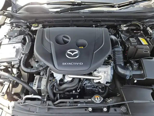 マツダ マツダ３ファストバック XD バーガンディセレクション 島根県 2019(令1)年 7.4万km マシーングレープレミアムM 純正8.8型ナビ/　(AM/FM/CD/DVD)/360度ビューモニター/ビルトインETC/全車速追従機能付レーダークルーズコントロール/パーキングセンサー/i-ACTIVSENSE/・スマートブレーキサポート/・AT誤発進抑制制御/・クルージングトラフィックサポート/・車線逸脱警報システム/・レーンキープアシスト/・前後接近車両検知/・ブラインドスポットモニタリング/・交通標識認識システム/アクティブドライビングディスプレイ/ターボ/アダプティブLEDヘッドランプ/本革巻きステアリング/ステアリングヒーター/パドルシフト/レッドパーフォレーション革シート/前席シートヒーター/運転席ドライビングポジション機能/純正18インチアルミホイール/アドバンストキーレスエントリーシステム/BOSEサウンドシステム/禁煙車