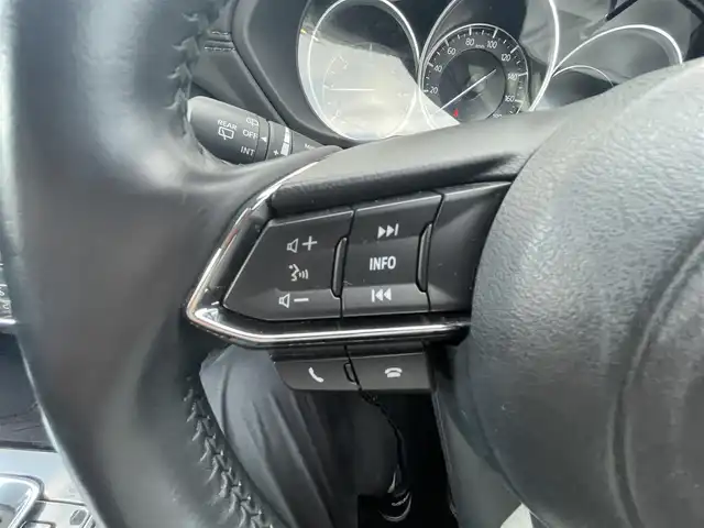 マツダ ＣＸ－５ XD プロアクティブ 千葉県 2019(令1)年 3.6万km ソウルレッドクリスタルM 純正ナビ/（ＦＭ／ＡＭ／ＢＴ／フルセグ）　/バックカメラ　/レーダークルコン　/パワーシート /シートヒーター /ステアリングヒーター /ドライブレコーダー /オートライト /レーンキープアシスト /オートライト/アイドリングストップ/ウィンカーミラー/ドアバイザー/プッシュスタート/ETC