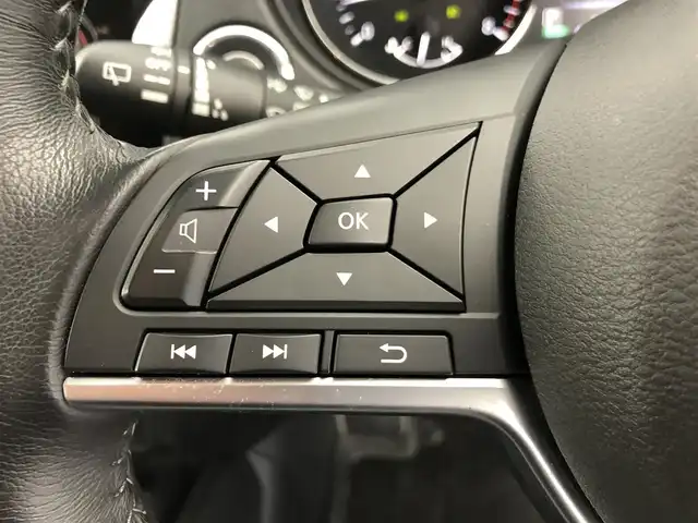 日産 エクストレイル 20X 愛知県 2017(平29)年 5万km ブリリアントシルバー 4WD/寒冷地仕様/パノラミックガラスル/メーカーオプション7インチナビ/　　・CD/DVD/Bluetooth/プロパイロット/インテリジェントエマージェンシーブレーキ/インテリジェントDA/インテリジェントLI/BSW/デジタルインナーミラー/アラウンドビューモニター/ビルトインETC/ステアリングリモコン/シートヒーター（全席）/パワーバックドア/ルーフレール/純正LEDヘッドライト/フォグランプ