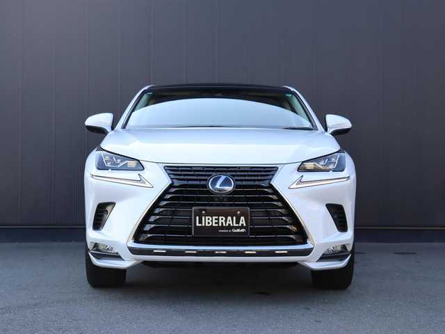 レクサス ＮＸ 300h バージョンL 静岡県 2019(平31)年 4.5万km ソニッククォーツ 赤革/純正ナビ/フルセグTV/サンルーフ/360°カメラ/HUD/ACC/BSM/LKA/衝突軽減ブレーキ/全席シートヒーター/前席ベンチレーション/パドルシフト