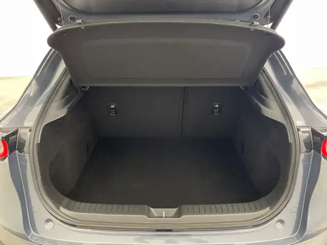 マツダ ＣＸ－３０ 20S プロアクティブ 群馬県 2020(令2)年 4.2万km ポリメタルグレーM 純正８．８型ナビ　バックカメラ　アダプティブクルーズコントロール　レーンキープアシスト　衝突被害軽減ブレーキ　オートマチックハイビーム　コーナーセンサー　純正アルミホイール１８インチ　ＥＴＣ　禁煙車