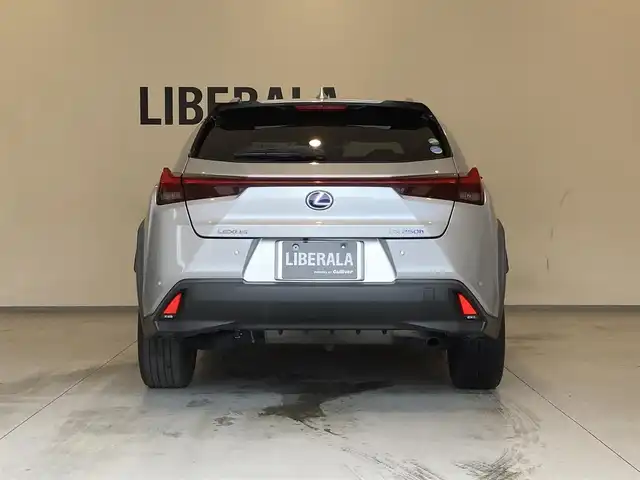 レクサス ＵＸ 250h バージョンL 熊本県 2019(令1)年 3.4万km プラチナムシルバーメタリック ワンオーナー車/純正ナビ/Bluetooth/CD/DVD/SD/Miracast/フルセグテレビ/360°カメラ/レーダークルーズコントロール/ホワイトレザーシート/メモリシート/ヒートシーター/エアシート/パワーシート/パワーバックドア/ステアリングヒーター/ステアリングスイッチ/LEXUSsafety/レーンキープアシスト/プリクラッシュセーフティ/ブラインドスポットモニター/クリアランスソナー/ビルトインETC2.0/前後ドライブレコーダー/LEDオートライト/純正18インチアルミホイール