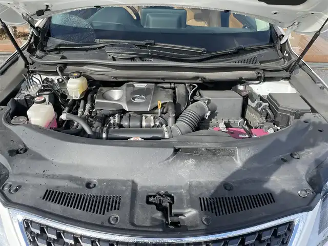 レクサス ＲＸ 300 バージョンL 滋賀県 2020(令2)年 9.8万km ソニッククォーツ ワンオーナー/純正メーカーナビ/　【AM・FM/CD/BT/SD/USB/AUX/フルセグTV】/サンルーフ/全方位モニター/パワーバックドア/ステアリングヒーター/ブラインドスポットモニター/コーナーセンサー/茶革シート/シートヒーター/シートベンチレーション/メモリーシート/パワーシート/プリクラッシュセーフティ/レーントレーシングアシスト/オートマチックハイビーム/レーダークルーズコントロール/ビルトインETC2.0/ドライブレコーダー/ウッド調革巻きステアリング/ステアリングスイッチ/パドルシフト/アイドリングストップ/電動サイドブレーキ/オートホールド/横滑り防止システム/純正フロアマット/電格ウインカーミラー/プッシュスタート