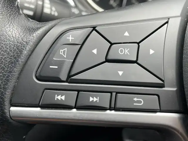 日産 エクストレイル 20Xi レザーエディション 千葉県 2020(令2)年 1.4万km シャイニングブルー プロパイロット/純正10インチナビ　/（型式：MM519D-L）/ＣＤ/ＤＶＤ/Ｂｌｕｅｔｏｏｔｈ/フルセグTV　/レーダークルーズコントロール　/ＥＴＣ　/全周囲カメラ　/パワーシート　/シートヒーター　/パワーバックドア　/タンレザーシート　/ルーフレール/ウィンカーミラー