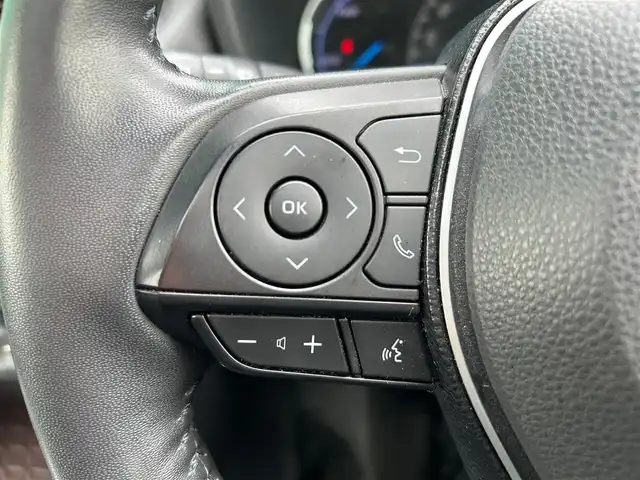トヨタ ＲＡＶ４ ハイブリッドG 宮城県 2020(令2)年 4.6万km ホワイトパールクリスタルシャイン ワンオーナー　/純正９インチナビ　/・フルセグ/Bluetooth/HDMI/SD録画/CD/DVD/ボタン式TVキャンセラー付き/パノラマルーフ　/バックカメラ　/純正前後ドライブレコーダー　/ビルドインＥＴＣ　/トヨタセーフティセンス　/・プリクラッシュセーフティ/・レーントトレーシングアシストポート/・レーダークルーズコントロール/・オートマチックハイビーム/・ロードサインアシスト/インテリジェントクリアランスソナー/リアトラフィックオートブレーキ/ブラインドスポットモニター/ハンズフリーパワーバックドア　/ステアリングヒーター　/シートヒーター　/メモリ式パワーシート【運転席】/LEDヘッドライト/AC100V/スマートキー×２/保証書/取扱説明書/ナビ説明書