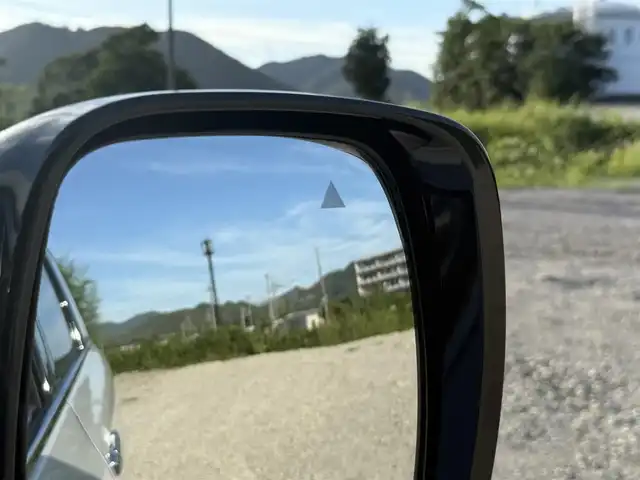 日産 エルグランド 250ハイウェイスターS 兵庫県 2025(令7)年 0.1千km パール 登録済み未使用車/純正アルミホイール/LEDヘッドライト/オートライト/コーナーセンサー/エマージェンシーブレーキ/ステアリングリモコン/プロパイロット/アラウンドビューモニタ-/BSM/レーダークルコン/レーンキープ/オートハイビーム/両側パワースライドドア/パワーバックドア/ハーフレザーシート/Ｗエアコン